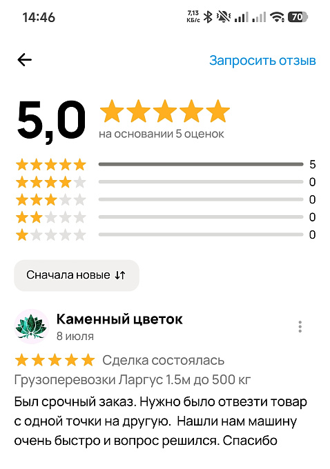 Скриншот отзыва (Авито): Каменный цветок